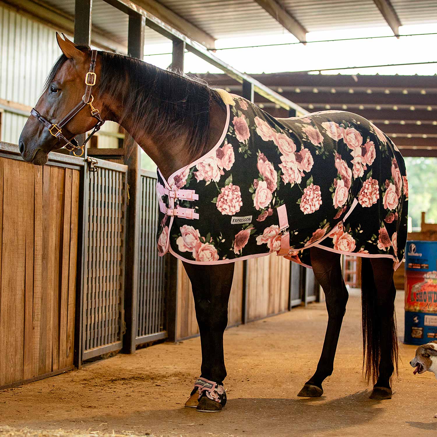 Jeffers Expression Standard Neck Fleece Horse Cooler