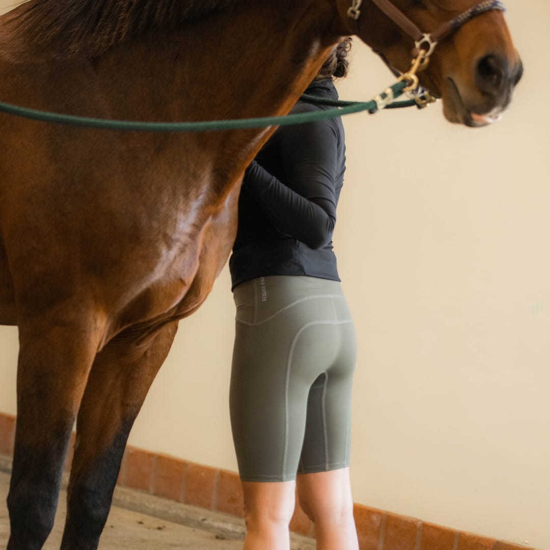 Equestrian Underwear - Knee Length